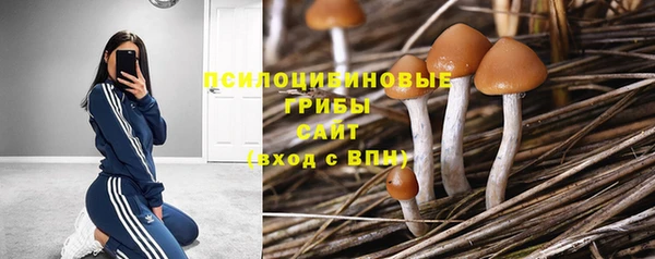 прущая мука Вяземский