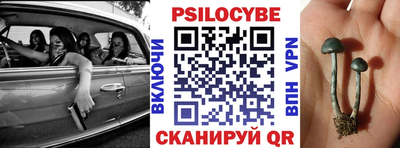 hydra   Пушкино  Псилоцибиновые грибы MAGIC MUSHROOMS 