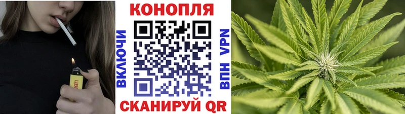 Марихуана сатива Пушкино